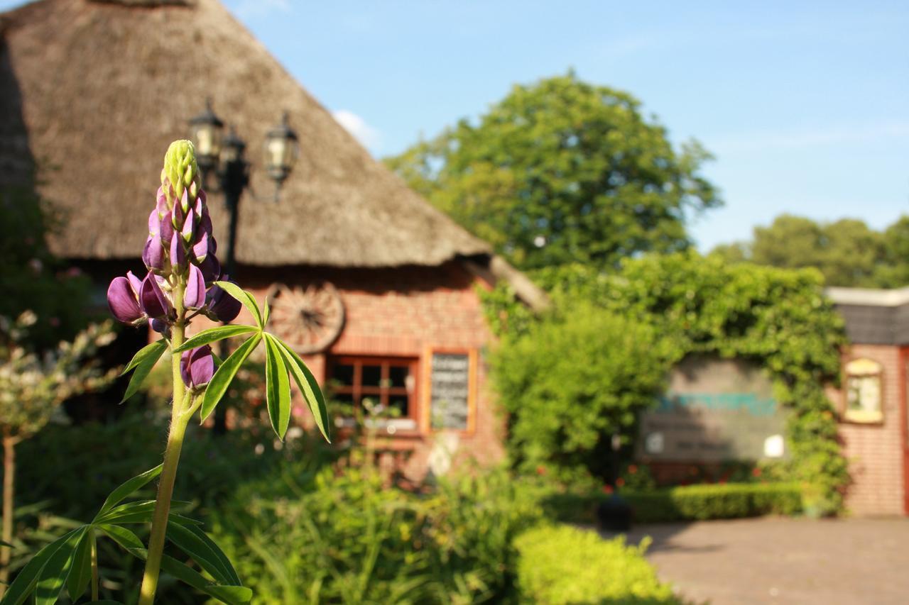 Landhaus Absalonshorst Hotel Groß Grönau Kültér fotó